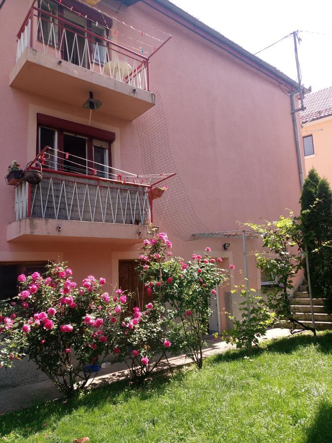 Apartmani Konta Livno Zewnętrze zdjęcie